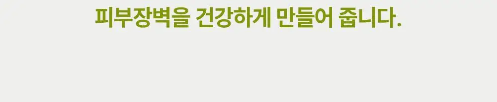 [2025 어워즈] 제로이드 인텐시브 크림 80ml 상세페이지 37